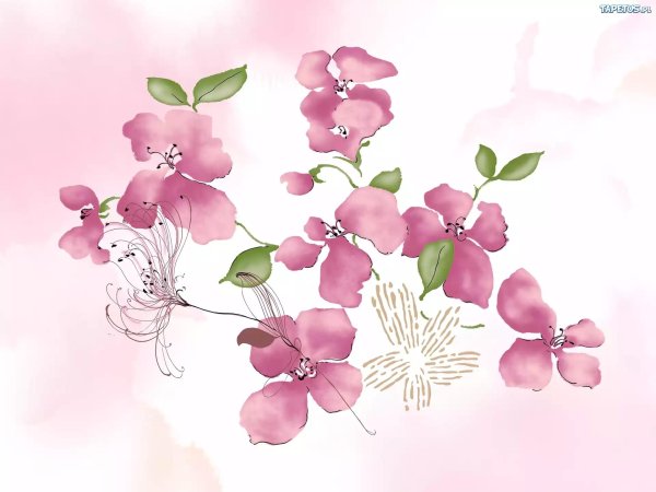 цветки рисунки