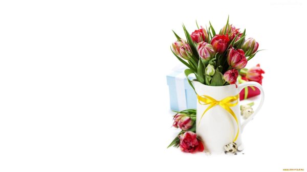 тюльпаны для открытки