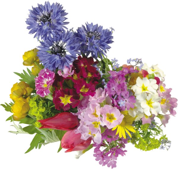 летние букеты