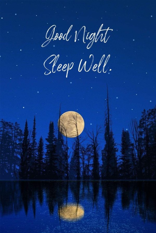 good night sleep well