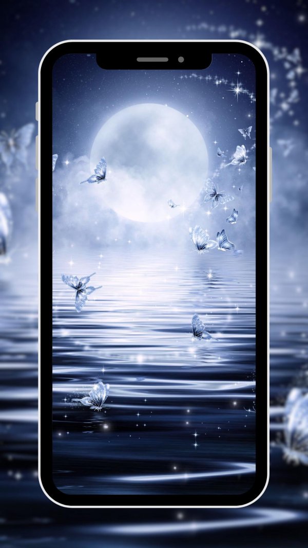 бабочки в лунном свете