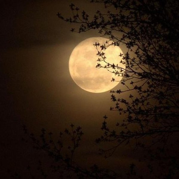 полная луна