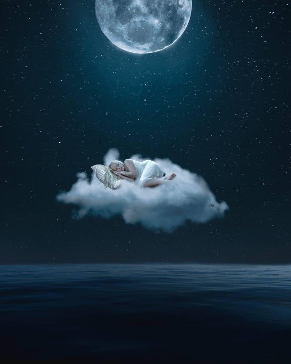 пожелание спокойной ночи