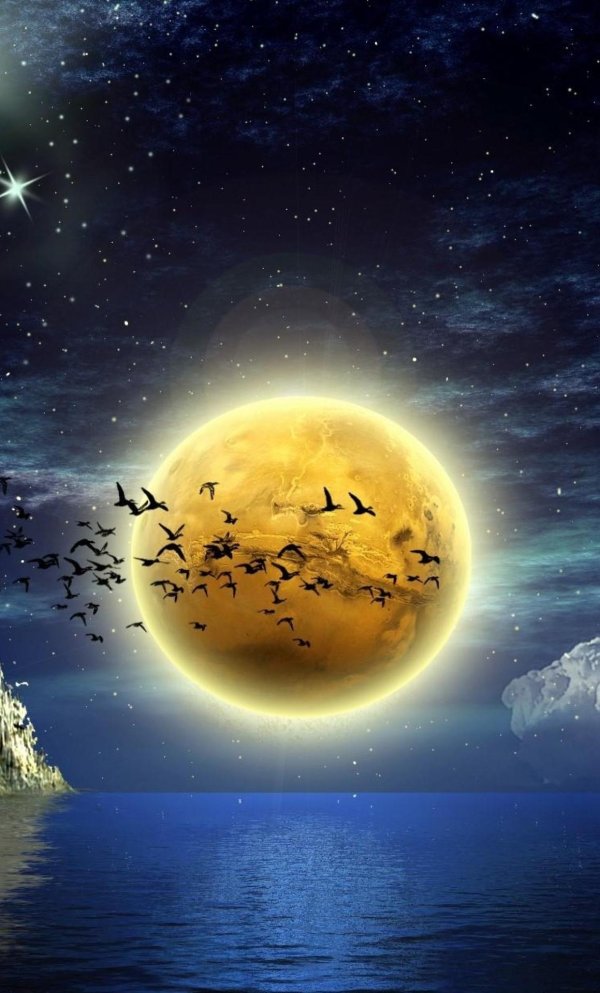 на фоне луны