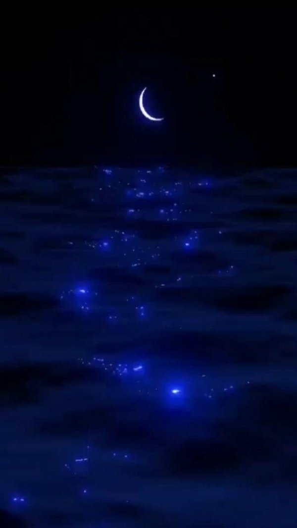 спокойная ночи