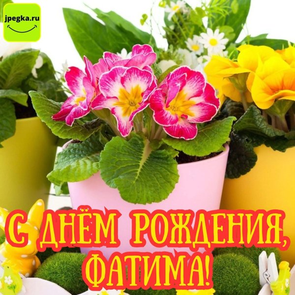 с днем рождения фатима