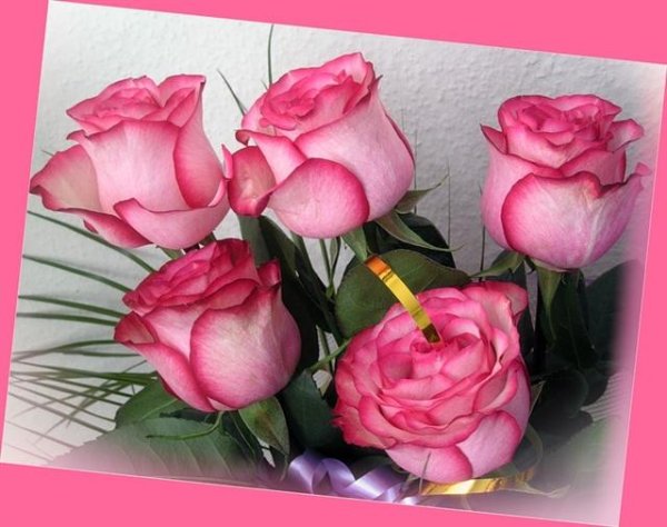 букет роз красивый