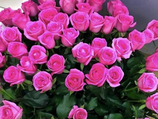 букет цветов шикарный