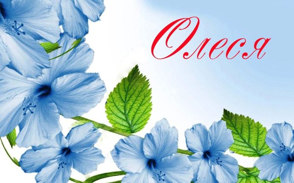 блуе фловер