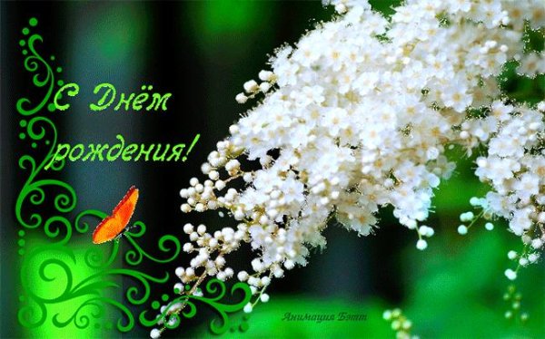 С днем рождения олеся