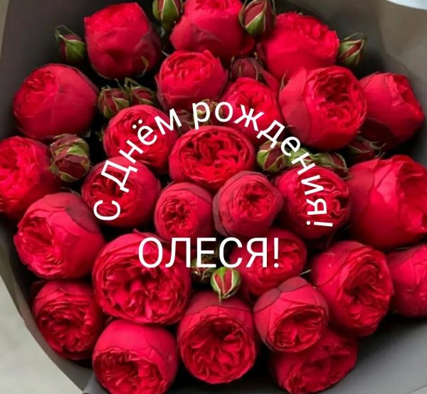 день рождения олеся