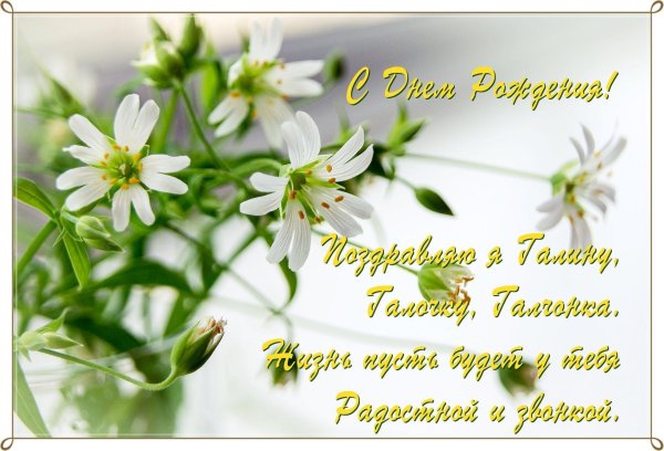 с юбилеем галочка открытки