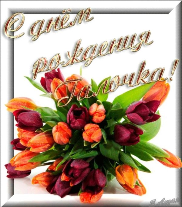 букет тюльпан