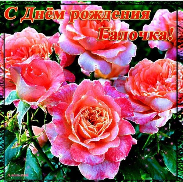 с днем рождения галочка