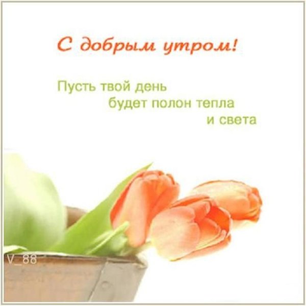 с добрейшим утром