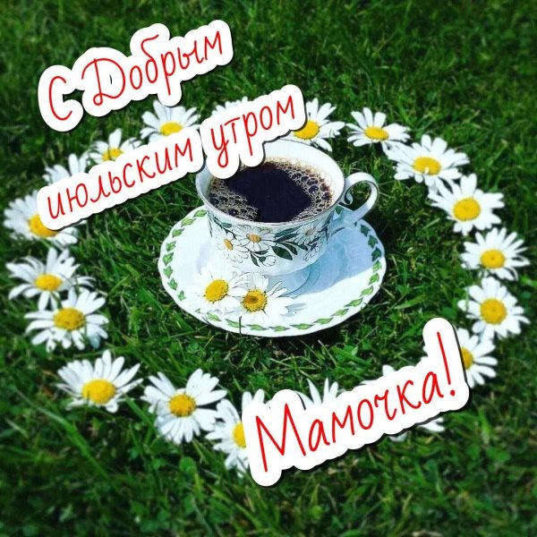 доброго утра ромашки