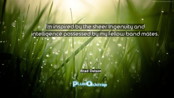 трава макро