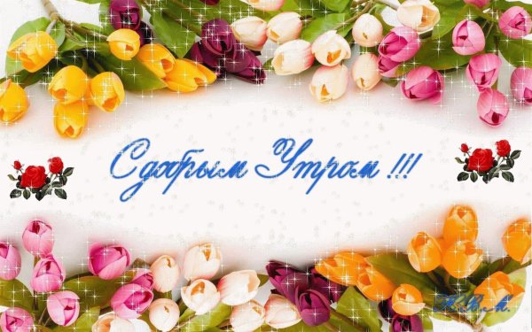 открытка на 8 марта