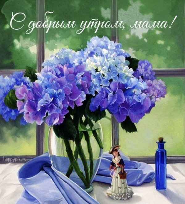 цветок гортензии