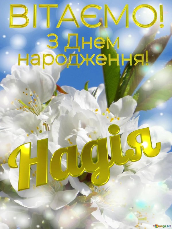 день народження