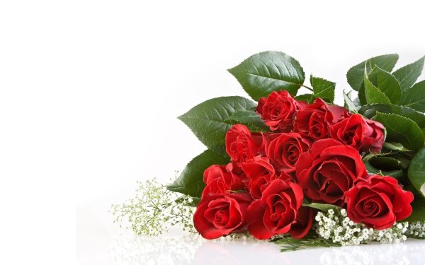 поздравительная открытка