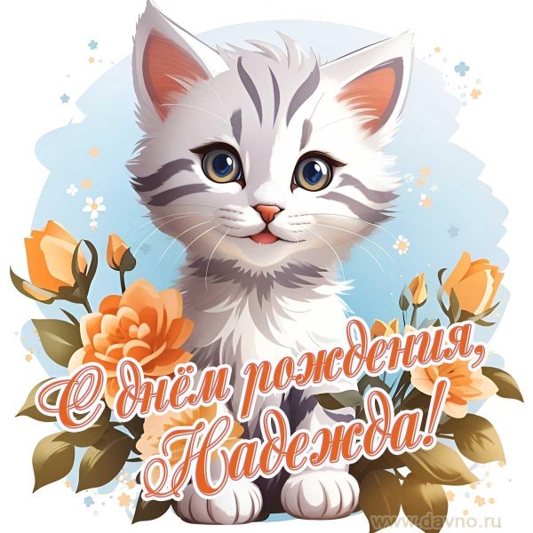 милый котик открытка