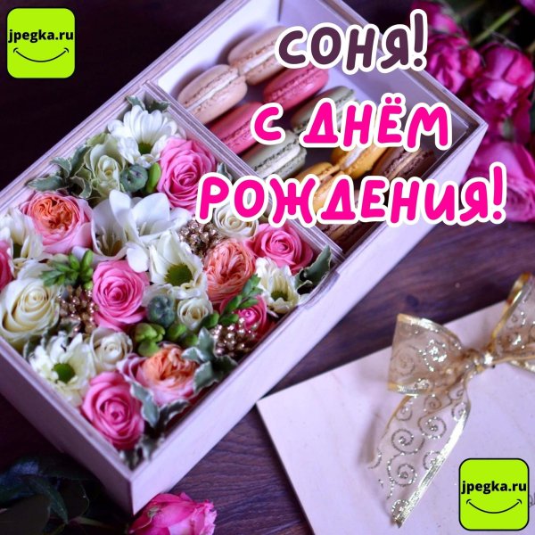 с днём рождения соня красивые