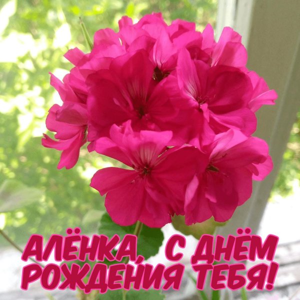 аленушка с днем рождения