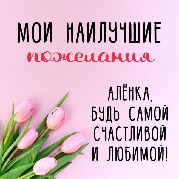 розовые тюльпаны