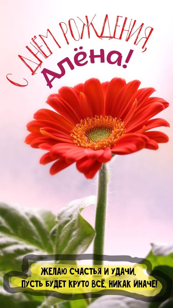 с днём рождения алёна красивые поздравления