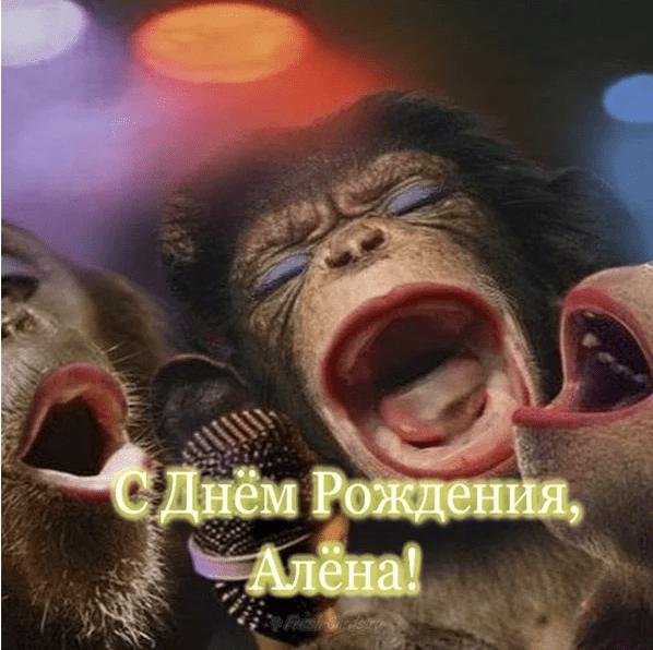 поющая обезьяна