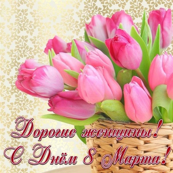 с праздниками 8 марта