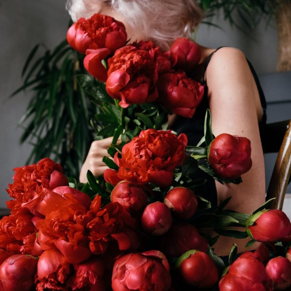 красные пионы