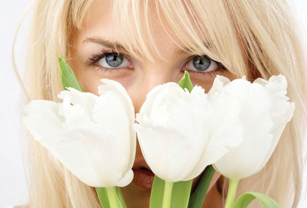 белые тюльпаны