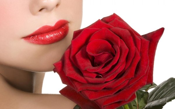 розы женщине