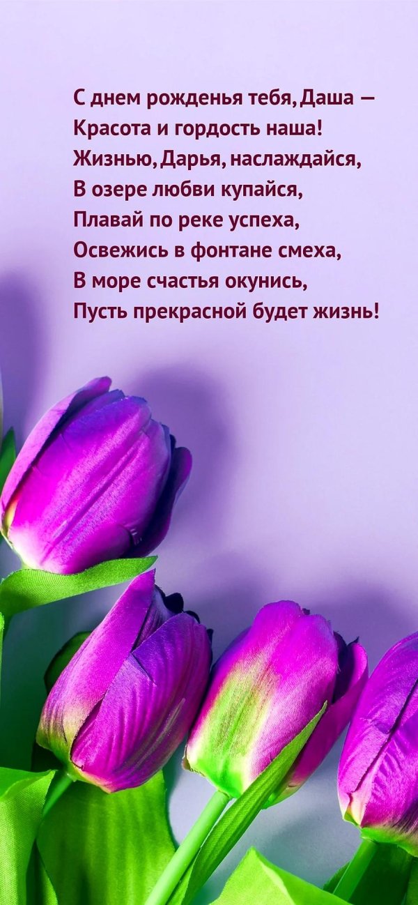 фиолетовые тюльпаны