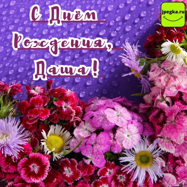 открытка с днем рождения дашенька