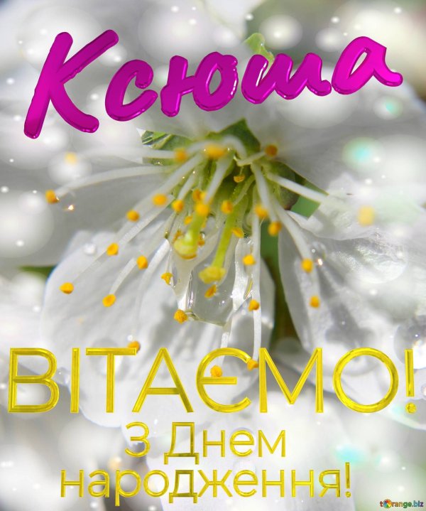 з днем народження