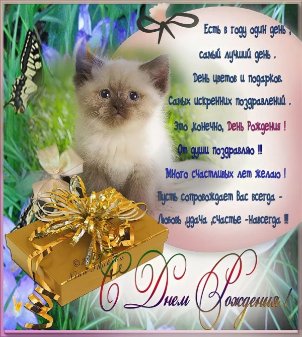 с днём рождения виктория стихи красивые