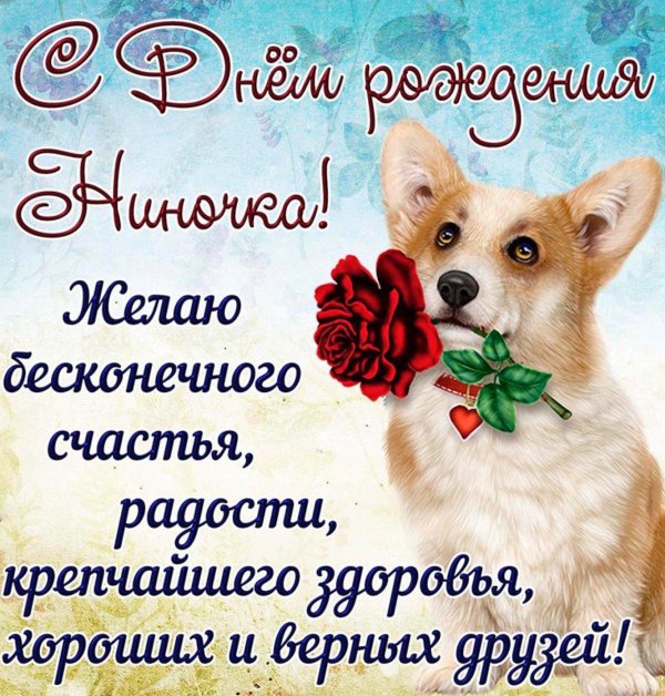 картина собачки