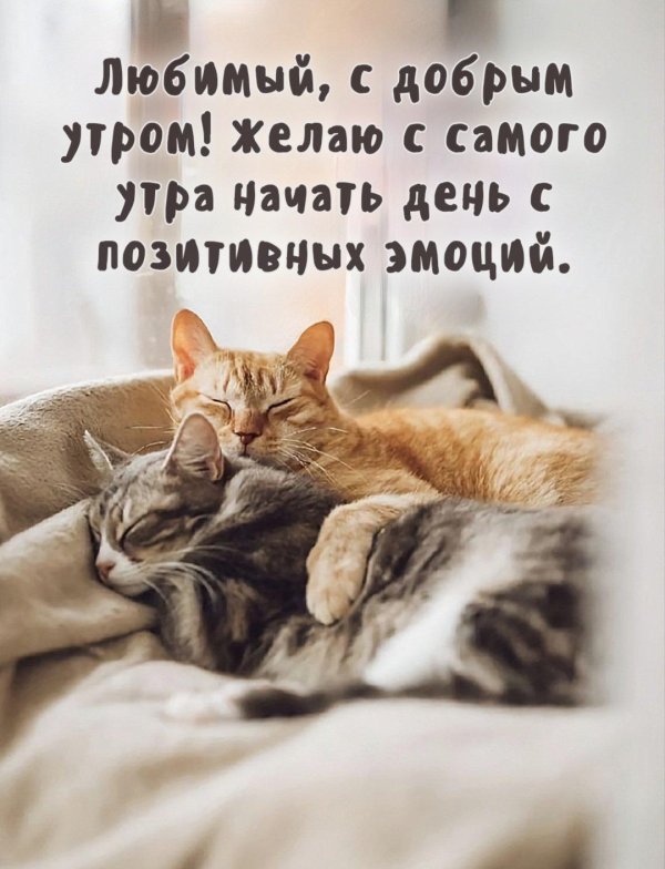 доброе утро