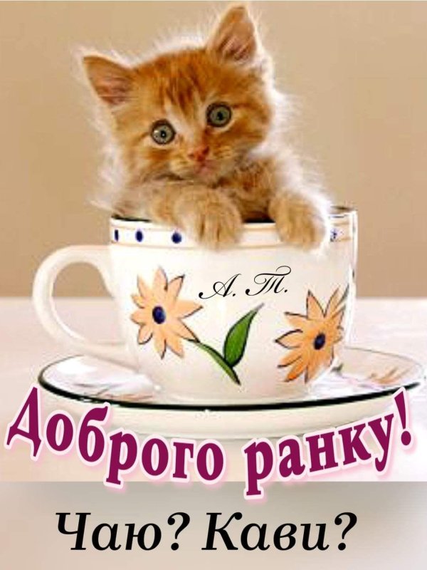 добрий ранок