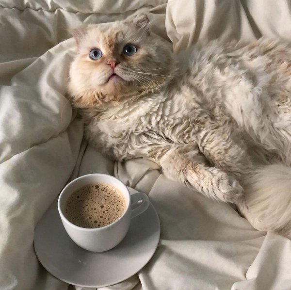 утреннее кофе