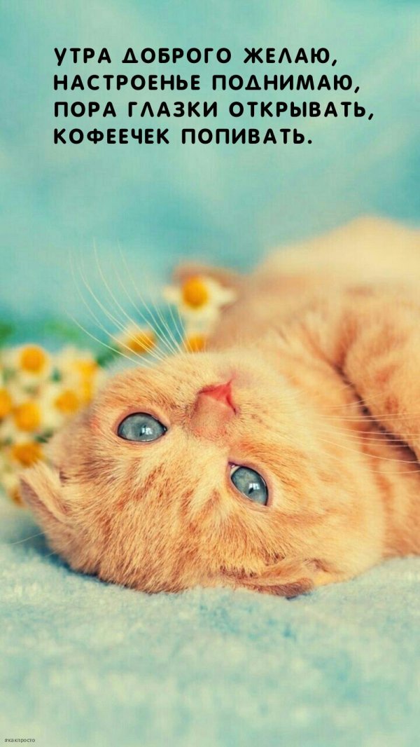 утра доброго