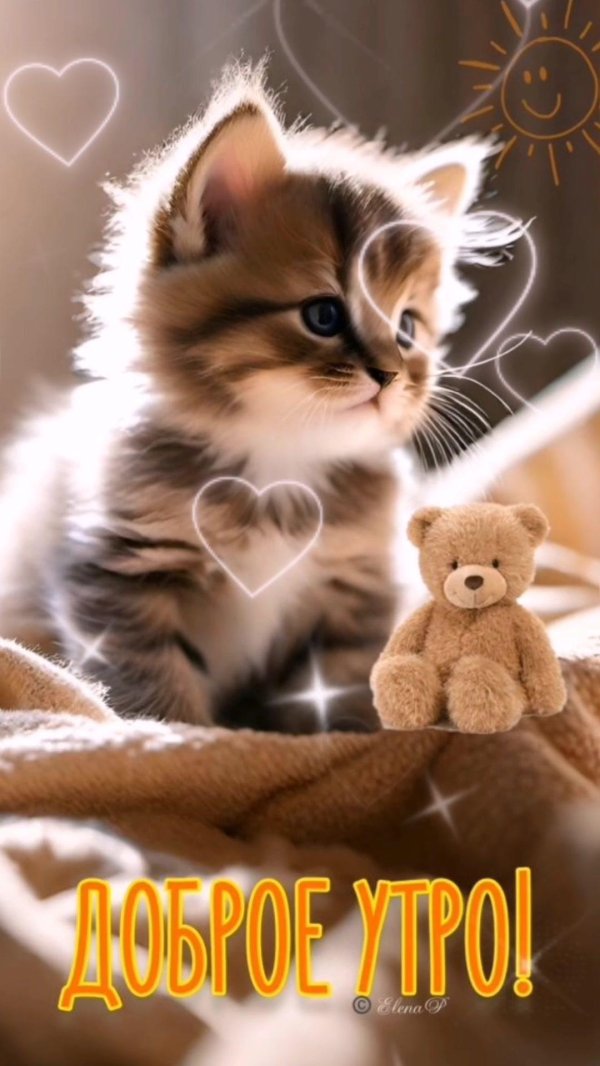 самые милые котята