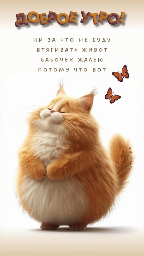 смешного доброго утра