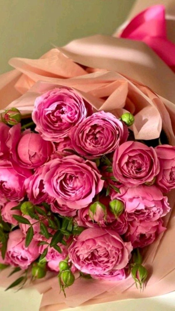 роза кустовая мисти баблс