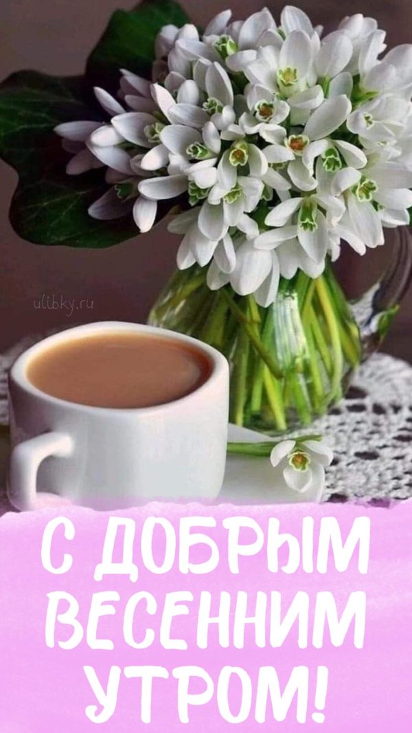 добрейшего весеннего утра