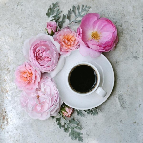 доченькаькас жобрым утром