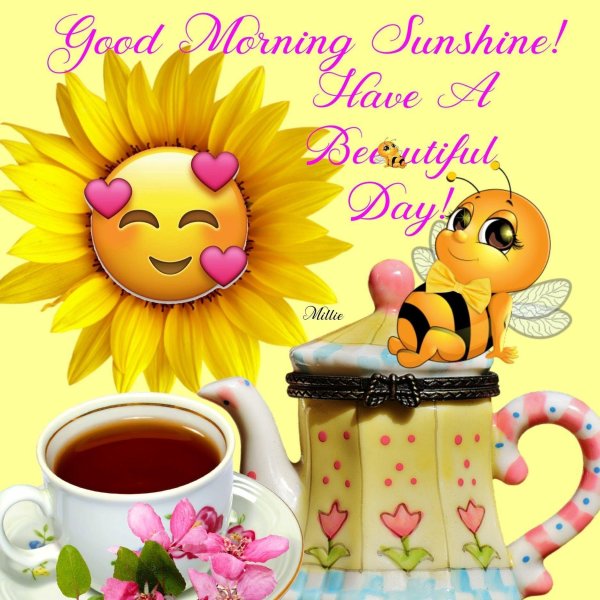 доброе утро пчелы